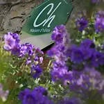 Bed & Breakfast Maison Ruthier