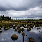 Bed & Breakfast Maison Ruthier 3*