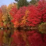 Bed & Breakfast Maison Ruthier Waimes