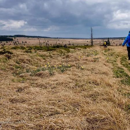 Maison Ruthier 와이메스