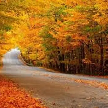 Maison Ruthier 와이메스