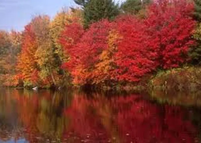 Bed and breakfast Maison Ruthier Waimes